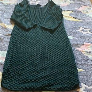 Dark Green Textured Dress. 5/$50